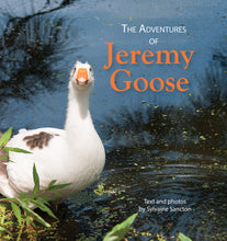 Load image into Gallery viewer, The Adventures of Jeremy Goose