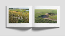 Load image into Gallery viewer, Louisiana from the Sky