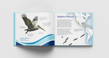 Load image into Gallery viewer, A Place for Pelicans: The Incredible Story of Queen Bess Island