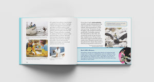 A Place for Pelicans: The Incredible Story of Queen Bess Island