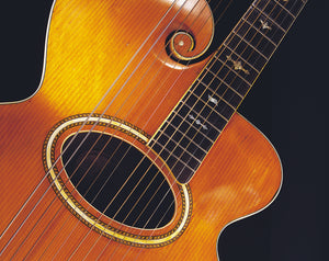 Comeaux Collection: The Fretted Instruments of Dr. Tommy Comeaux