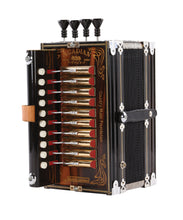 Load image into Gallery viewer, Made in Louisiana: The Story of the Acadian Accordion