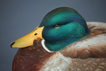 Load image into Gallery viewer, A Legacy Preserved: Contemporary Louisiana Decoy Carvers